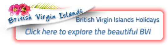 bvi-banner